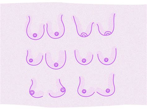 medium size boobs|The 12 Different Breast Shapes and Types